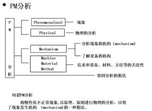 信息咨詢服務 產品與服務的全方位解析
